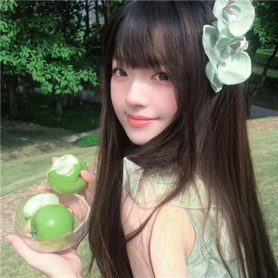 小狗丹的物语