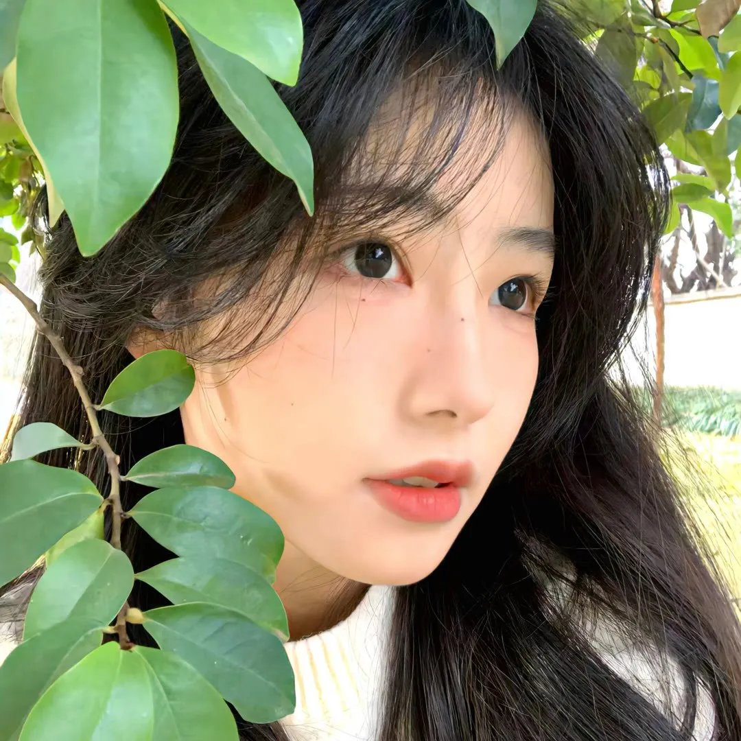 我们是谁